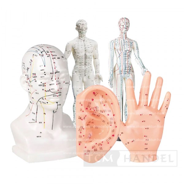 Produkt TCM und Akupunktur Handel A10013_1